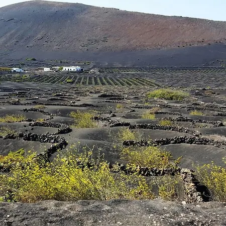 Loft Lucky Appartamento *